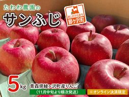 りんご 青森 サンふじ リンゴ 約 5kg （18～20玉） 青森県 鰺ヶ沢町産 たわわ農園 フルーツ 果物 果物類 林檎 サンフジ 青森産 ふじ 2026 ※2026年11月中旬より順次発送 ※オンライン決済限定 