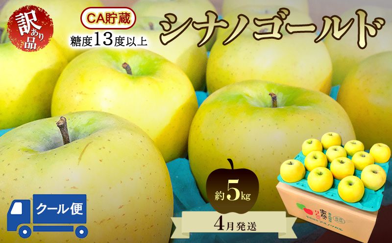 りんご[4月クール便発送]平均糖度13度以上 訳あり品 家庭用 CA貯蔵 シナノゴールド 約5kg[青森りんご 果物 フルーツ デザート 食後 青森県産 産地直送 贈り物]