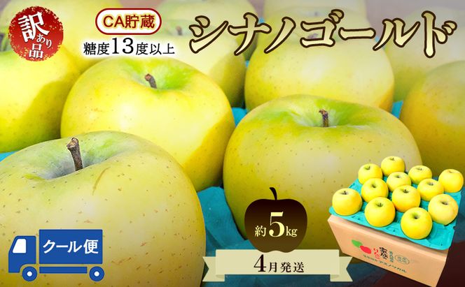 りんご【4月クール便発送】平均糖度13度以上 訳あり品 家庭用 CA貯蔵 シナノゴールド 約5kg【青森りんご 果物 フルーツ デザート 食後 青森県産 産地直送 贈り物】