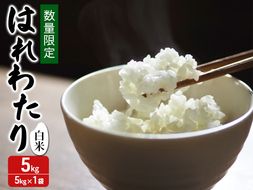 令和7年産 はれわたり 白米 5kg [H.GREENWORK] 青森県 鯵ヶ沢産 / お米 精米 こめ おこめ ごはん 特A 評価 津軽