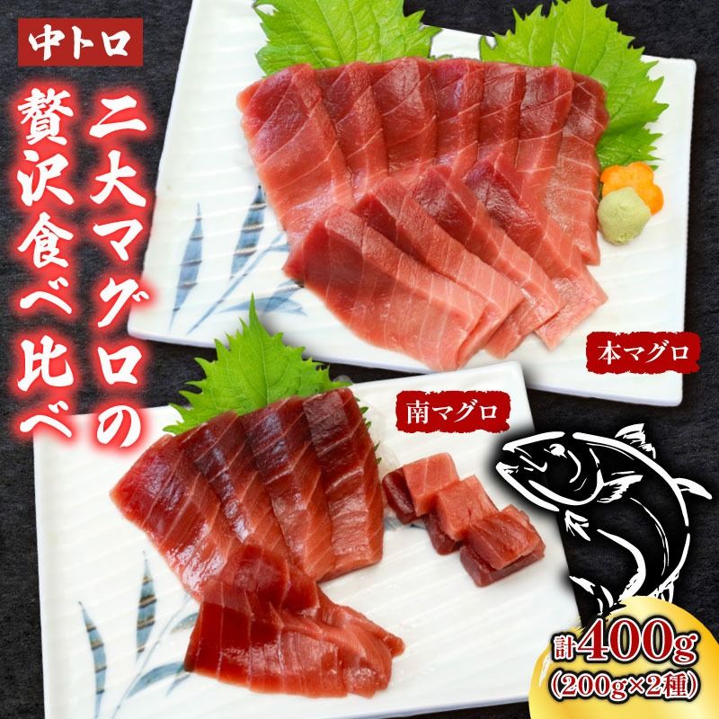 本マグロ 南マグロ 中トロ各1柵 (計400g) 食べ比べ まぐろ 鮪 鮮魚 魚 柵 2種 贅沢 高級 人気