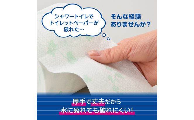 【2回お届け 計144ロール】エリエール シャワートイレのためにつくった吸水力が2倍 トイレットペーパー ダブル 25m 12R 6パック 計72ロール 防災 常備品 備蓄品 消耗品 日用品 送料無料 北海道 赤平市