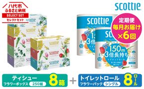 【定期便6回】【毎月お届け】【スコッティ】 組み合わせ ティシュー フラワーボックス 250組 8箱 計48箱 トイレットロール シングル フラワーパック 3倍長持ち 8ロール 計48ロール ティッシュ トイレットペーパー 日用品 ストック 防災備蓄 ストック 備蓄 新生活 防災 消耗品 生活用品 日用消耗品 箱ティッシュ