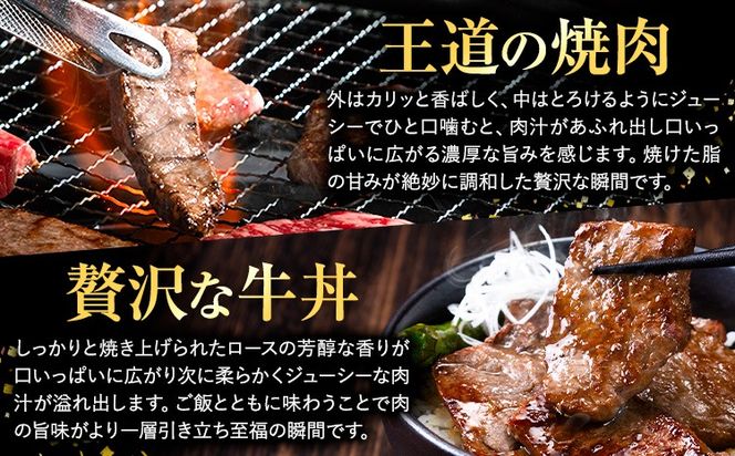 牛肉 A4～A5等級 黒毛和牛 切り落とし くまもと黒毛和牛 上 ロース 焼肉切り落とし 300g 600g 900g《30日以内に出荷予定(土日祝除く)》熊本県 長洲町 上ロース 焼肉用 焼肉 肉 お肉 和牛 A5 A4 300g 小分け リブロース サーロイン---ng_fzyoursyk_30d_r7_10000_300g---