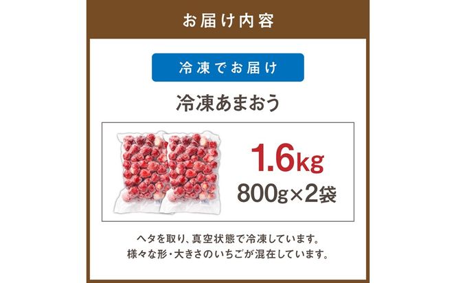 急速冷凍！人気のあまおう 冷凍いちご　福岡県特産品　大容量 1.6kg【JAほたるの里】_HA1513