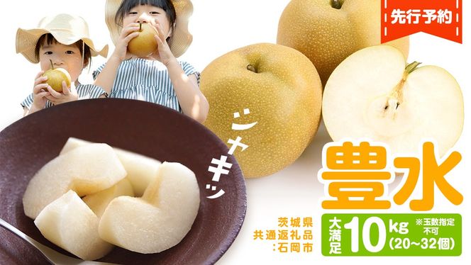 梨 豊水 約10kg 20～32個【2025年9月から発送開始】（茨城県共通返礼品：石岡市産）田舎の頑固おやじが厳選！ 梨 豊水 高糖度 ギフト 甘い 美味しい フルーツ デザート