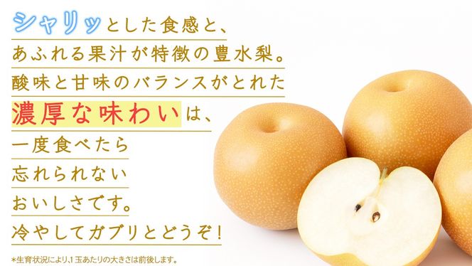 ＼ 選べる内容量 ／ 豊水 梨 約3kg / 約5kg / 約10kg 【2026年9月より発送開始】（茨城県共通返礼品 [梨]：大子町産） なし 旬 お取り寄せ フルーツ 甘い ジューシー 和梨 時期