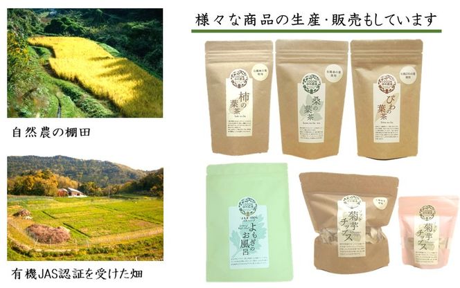 国東産「桑の葉茶」ティーバッグ 2.5g×10包入り×3袋(合計30包)_1965R