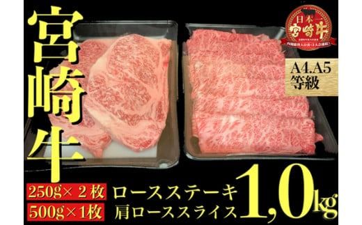 [A4等級以上]宮崎牛 ステーキ&スライスセット 計1.0kg(内閣総理大臣賞4大会連続受賞 牛肉 黒毛和牛 宮崎牛 ステーキ)