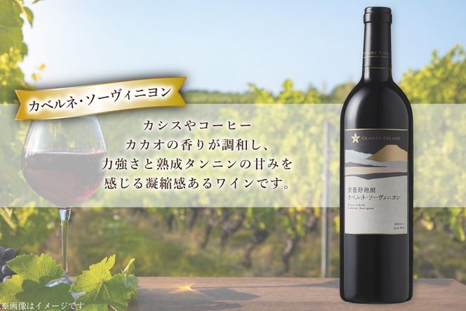 ワイン セット サッポログランポレール 安曇野池田ヴィンヤードワイン 赤白2種セット 750ml 計2本 [ナチュラルマルシェ ソヨソヨ 長野県 池田町 48110929] 酒 お酒 アルコール 赤 赤ワイン 白 白ワイン 国産 あるこーる ぶどう 特別 フルボディ 辛口 料理 セット