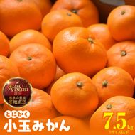 みかん とにかく 小玉 箱込 7.5kg ( 内容量 6.8kg ) Sサイズ以下 秀品 優品 混合 有田みかん 和歌山県産 産地直送 【みかんの会】_MK1052