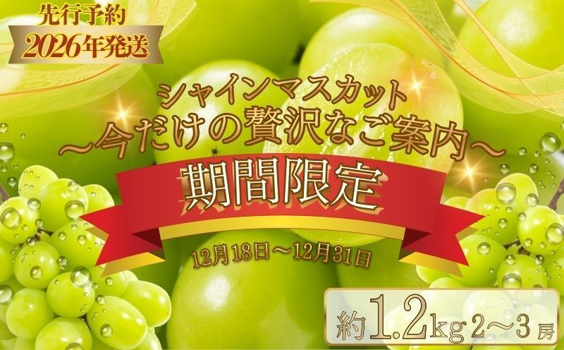 [期間限定][数量限定] シャインマスカット スペシャルサンクス約1.2kg(2〜3房)[2026年先行予約] FB048|シャインマスカット フルーツ