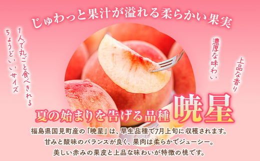◆2026年夏発送◆暁星～産直・桃・約2kg～ ※離島への配送不可 ※2026年7月上旬～7月下旬頃に順次発送予定 ｜ 先行予約 予約 数量限定 桃 もも モモ 果物 くだもの フルーツ 詰め合わせ 福島 ふくしま