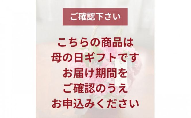 《母の日限定》カーネーションのブーケ＜出荷時期：2026年5月6日～5月9日＞ 142069_BN041