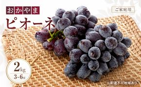ぶどう 訳あり おかやま ピオーネ 2kg箱 3～6房 ご家庭用 規格外 2026年