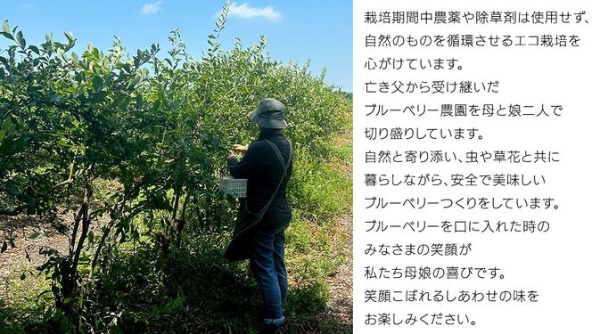 《 先行予約 》ブルーベリー 大小不揃い 約 1kg【2026年6月中旬頃より発送開始】 訳アリ B品 お得 甘い 甘酸っぱい 産地直送 おやつ デザート ジャム スムージー [BK005us]