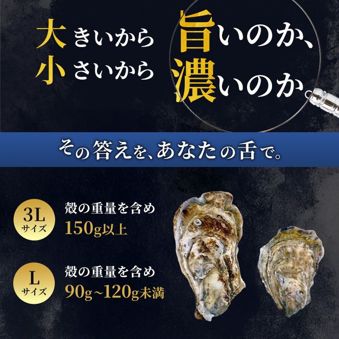 【 3ヵ月 定期便 】 厚岸産 ブランド 殻付カキ マルえもん 生食用 サイズ食べ比べ 24個 (3L・L各12個)[ 魚貝類 生牡蠣 かき 牡蠣 カキ 生ガキ 食べ比べ ]