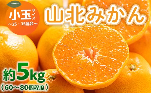 みかん 5kg ss 混合 山北みかん 小玉サイズ 2S・3S混合 約5kg（60～80個程度） 山北みらい - 果物 フルーツ 柑橘類 温州みかん ミカン yk-0060