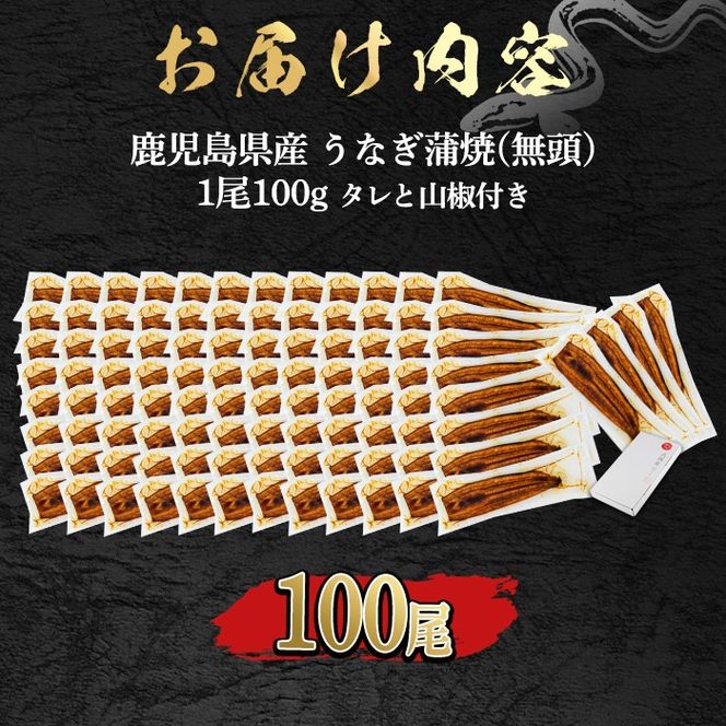 【3344331a】＜食べきりサイズ！＞東串良町のうなぎ蒲焼(無頭)(100尾・計10000g・タレ、山椒付) うなぎ 高級 ウナギ 鰻 国産 蒲焼 蒲焼き たれ 鹿児島 ふるさと 人気 【アクアおおすみ】