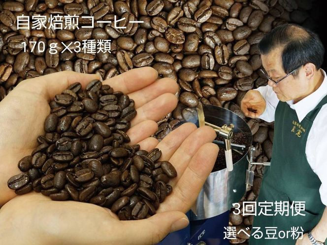 【定期便3回】米国スペシャリティー認定豆170ｇ×3袋を毎月お届け！ 322032_DC008