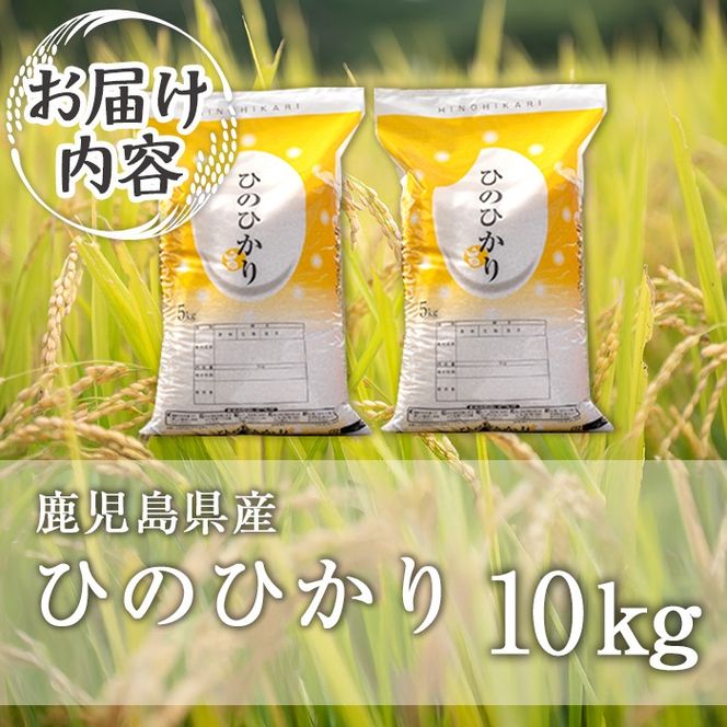 isa808 鹿児島県産ひのひかり(10kg) 国産 鹿児島県 米 お米 白米 伊佐米 【赤崎農園】