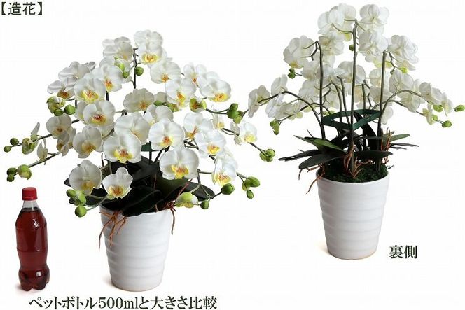 綺麗で丈夫な三河陶器で贈る光触媒胡蝶蘭小輪５本立（白の陶器×白色の花）H100-102