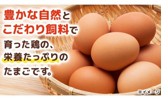 キトサン 健康 たまご 80個入 赤玉 卵 タマゴ 鶏卵 鶏 卵かけごはん ゆで卵 赤たまご 国産 茨城県 玉子 [EE001us]