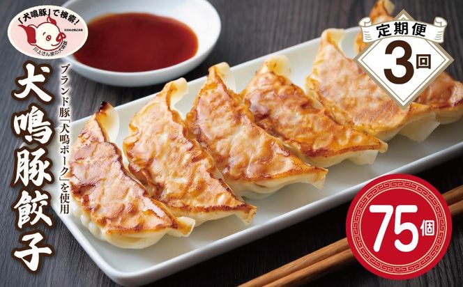 099Z554 【泉佐野ブランド豚】犬鳴豚餃子 75個×3回【国産 豚肉 ぶたにく 定期便 犬鳴ポーク 焼くだけ 人気 総菜 冷凍】