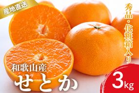 【先行予約】秀品 せとか 和歌山 有田 化粧箱 M～4Lサイズ 大きさお任せ 3kg【2月上旬～3月下旬頃に順次発送】/ みかん フルーツ 果物 くだもの 蜜柑 柑橘【ktn013A】