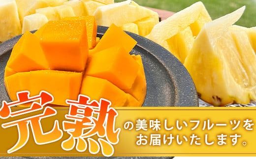 《2026年6月中旬以降発送》島の美味しいを詰め込んだ、パイン＆マンゴーのよくばりセット！【 沖縄県 石垣市 石垣島 完熟 パイン パイナップル スナック マンゴー セット 詰め合わせ 産地直送 】TF-24_R8