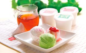 季節のジェラートアイスセット 人気 厳選 ギフト 贈り物 デザート グルメ おやつ スイーツ 袋井市 お菓子