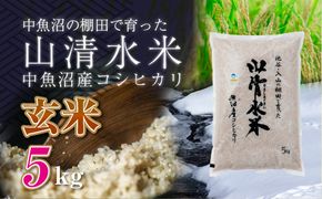 新潟県魚沼産コシヒカリ「山清水米」玄米5kg 