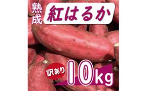 訳あり 熟成 紅はるか 10kg サイズ混合 サツマイモ 焼き芋 干し芋 丸干し 冷凍焼き芋 冷やし焼き芋 やきいも 蜜芋 ほしいも スイートポテト フライドポテト いも天 サイズミックス  甘い ねっとり しっとり ほくほく 生芋 新芋 芋 いも 甘藷 べにはるか スイーツ おかず さつまいも 国産 人気 糖度 産地直送 農家直送 数量限定 14000円 愛媛県 愛南町 ミッチーのおみかん畑