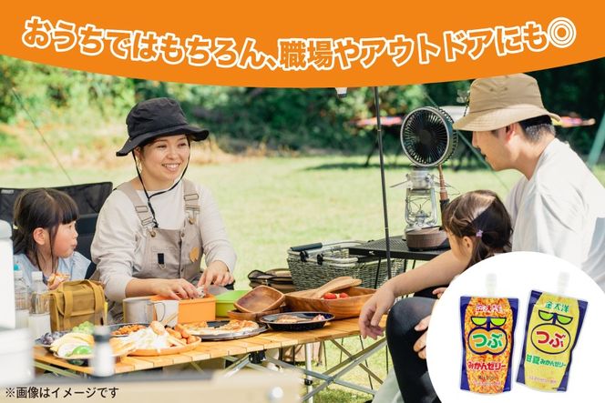 AJ236 金太洋 つぶみかんゼリー 2個 つぶ甘夏みかんゼリー 1個 [株式会社島原観光ビューロー 長崎県 島原市] みかん オレンジ ゼリー おやつ つぶつぶ ゼリージュース