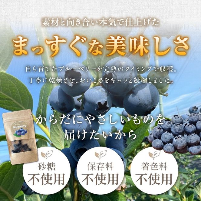 【無添加・砂糖不使用】農家が本気で作ったドライブルーベリー（15g×6パック） ドライフルーツ 乾燥 自然派 シンプル やさしい 甘酸っぱい H164-014