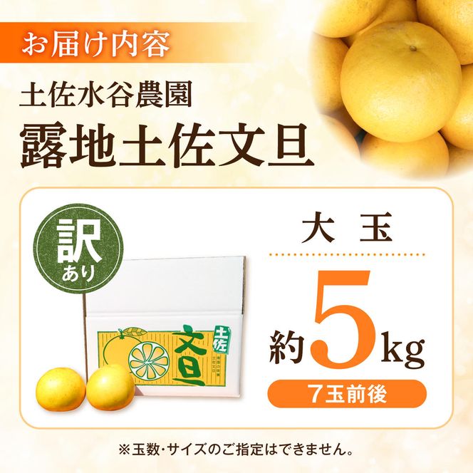 【先行予約】文旦 家庭用大玉 5キロ 5kg（3L～上限なし：7玉前後）〈2027年1月20日～発送〉皮むき器付き 訳あり 文旦 ぶんたん フルーツ 果物 高知 土佐市 大玉【土佐水谷農園】 [BQBD008]