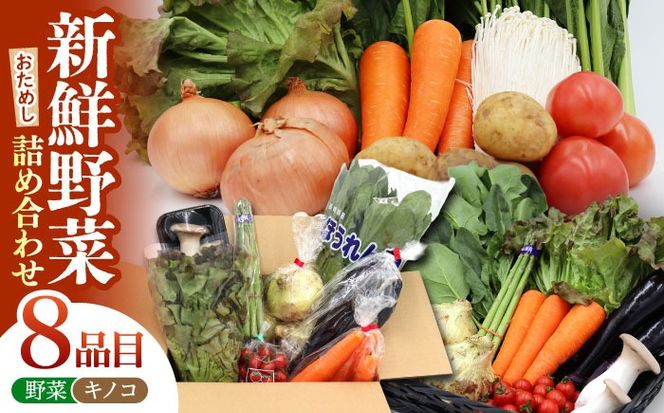 お試し野菜セット 8品目 詰め合わせ / 野菜 やさい ヤサイ 旬 新鮮 / 南島原市 / 吉岡青果[SCZ027]