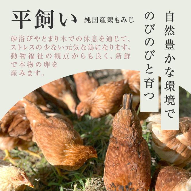 【医師監修】野菜を食べて育った平飼いの卵「もみじ卵」（30個入り）［154T02］もみじ卵 30個 もみじ 卵 赤玉 コク 採れたて 平飼い 玉子 卵焼き 目玉焼き サンドイッチ オムライス