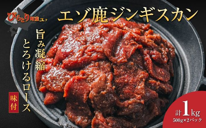 ykC撬zywV[/炩z撬YG]VJWMXJ [Xt500g×2pbN v1kg  BRTS002