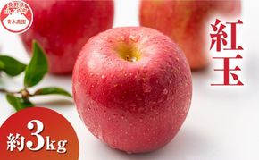 【2026年9月～発送】 紅玉約3kg 7～9玉 りんご 長野県産