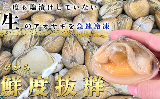 岬だよりの【訳あり】青柳釣り餌用 150g×6袋セット