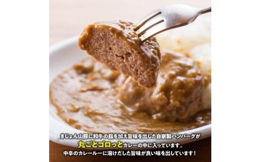 【3ヶ月定期便】月替わりおかずセット【 肉 豚 豚肉 ロース ハンバーグ カレー  】[D07503t3]