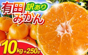 家庭用 有田みかん サイズ混合(2S～2L) 10kg+250g ※11月発送(完熟) / 温州みかん 有田みかん 訳あり 甘い 光センサー選果 果物 柑橘 和歌山 ※北海道・沖縄・離島への配送不可 【ikd004-cm-10-novC】 