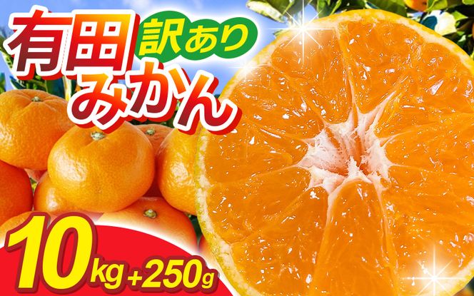家庭用 有田みかん サイズ混合(2S～2L) 10kg+250g ※11月発送(完熟) / 温州みかん 有田みかん 訳あり 甘い 光センサー選果 果物 柑橘 和歌山 ※北海道・沖縄・離島への配送不可 【ikd004-cm-10-novC】 