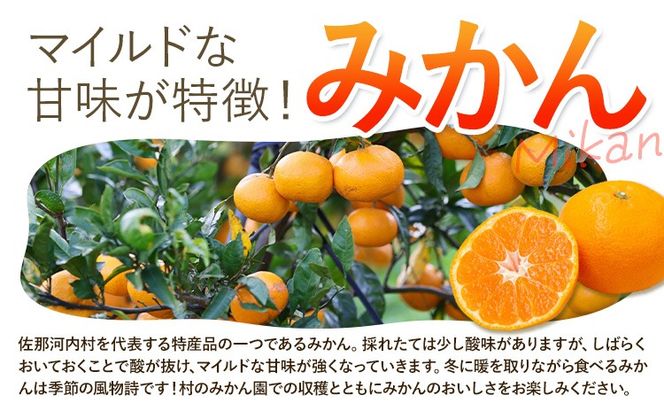 【CF】令和8年度果樹オーナー権（みかん）---sanagouchi_sko_8_1k---