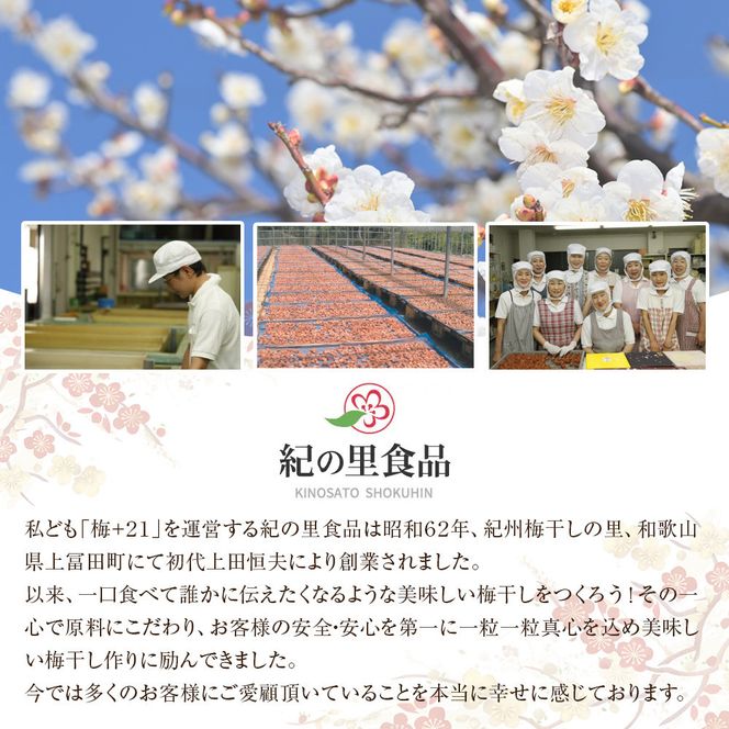 極選の梅 木箱 1箱20粒入り ［Kn12］ 303446_CQ012