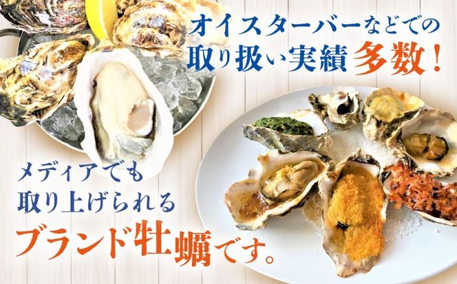 加熱用 みるくがき 10kg 殻付き 活牡蠣 糸島市 / 豊久丸ブランド/カキ/牡蛎[AEJ008]