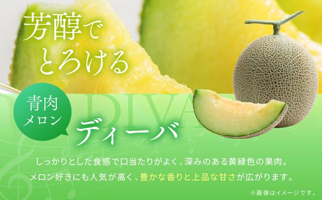 【先行予約】956.【ふるさと納税】青肉メロンディーバと赤肉メロンプリモレッドのセット ※日本全国配送可能  2026年10月上旬頃～11月上旬頃に順次発送予定 313726_BQ012