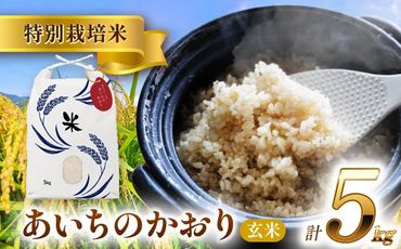 令和6年産 愛知県産あいちのかおり 玄米5kg 特別栽培米 お米 ご飯／戸典オペレーター[AECT026]