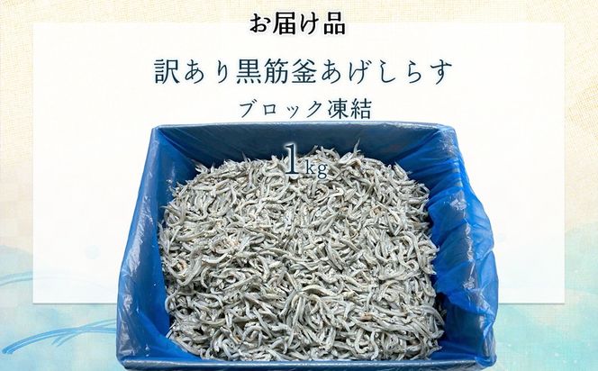 訳あり黒筋釜あげしらす 1kg IKTB016 